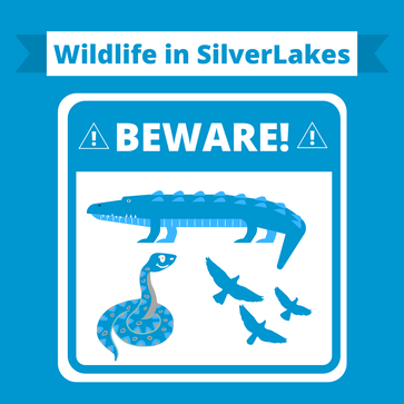 Beware of Wildlife